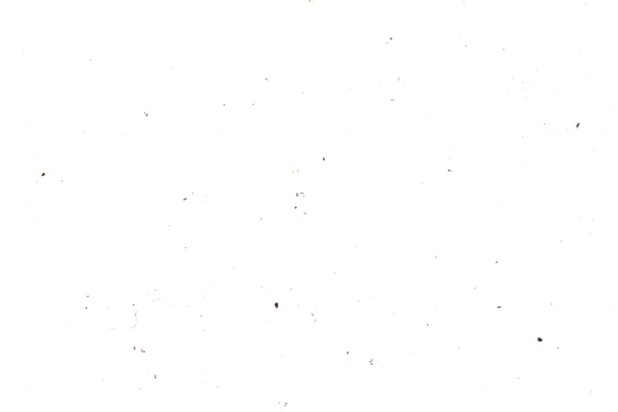 Image 61